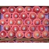New Red Star Apple