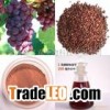 grape seed P.E