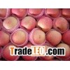 fuji apple