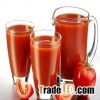 Manufacturer of  Quality Natural tomato extract lycopene