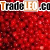 lingonberry red(sales6 at lgberry dot com dot cn)