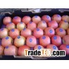 Fresh Apple