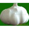 pure white garlic