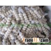 export pure garlic5.0CM HPPWG14