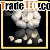 Fresh Prepacked Garlic