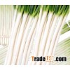 scallion