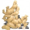 ginger (china top brand)
