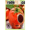 Tomato Extract  Lycopersicon