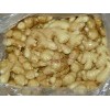 fresh ginger of 2009 crop