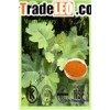 Macleaya Cordata Extract 60% Alkaloids Sanguinarine