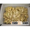 fresh ginger