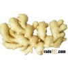 Peeled Ginger