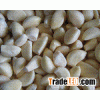 frozen garlic cloves