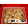 air dried ginger