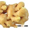 fresh ginger