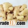 ginger