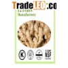 Gingerols 5% / Gingerols 10%Ginger Extract Herb Extract