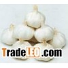 pure white garlic and normal white garlic