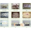 Supply of export normal white fresh garlic