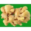 fresh ginger