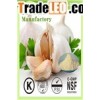 1% 2% 3% Allicin/ Garlic Powder Garlic Extract