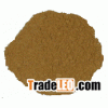 Ginkgo Biloba Extract