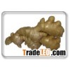 ginger