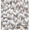 white beans