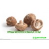 dry shiitake mushroom,Dried Shiitake Mushrooms Organic ,chin