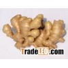 fresh ginger