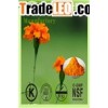 high quality lutein, marigold flower extract