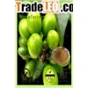 Green Coffee Bean Extract Chlorogenic Acid 50%