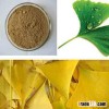 Natural Ginkgo Leaf Extract Ginkgetin(Medical&Cosmetic)