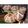 Dried Sliced Shiitake Mushroom ,Dehydrated Sliced Shiitake M
