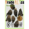 Maca Extract Anti-Fatigue Maca Root Extract