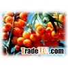 Seabuckthorn Seed Oil
