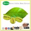 Green Coffee Bean Extract