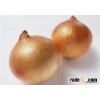 onion