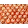 yellow onion