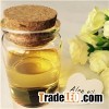 Aloe Oil