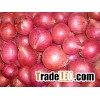yellow/red onion