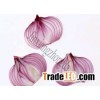 fresh onion