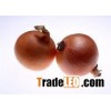onion