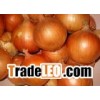 yellow onion