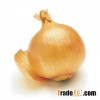 Chinese Yellow Onions
