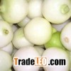 peeled onion