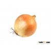 Cheap Onion