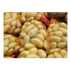 Fresh Potato