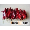 Yidu chili