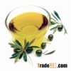 Olive Oil